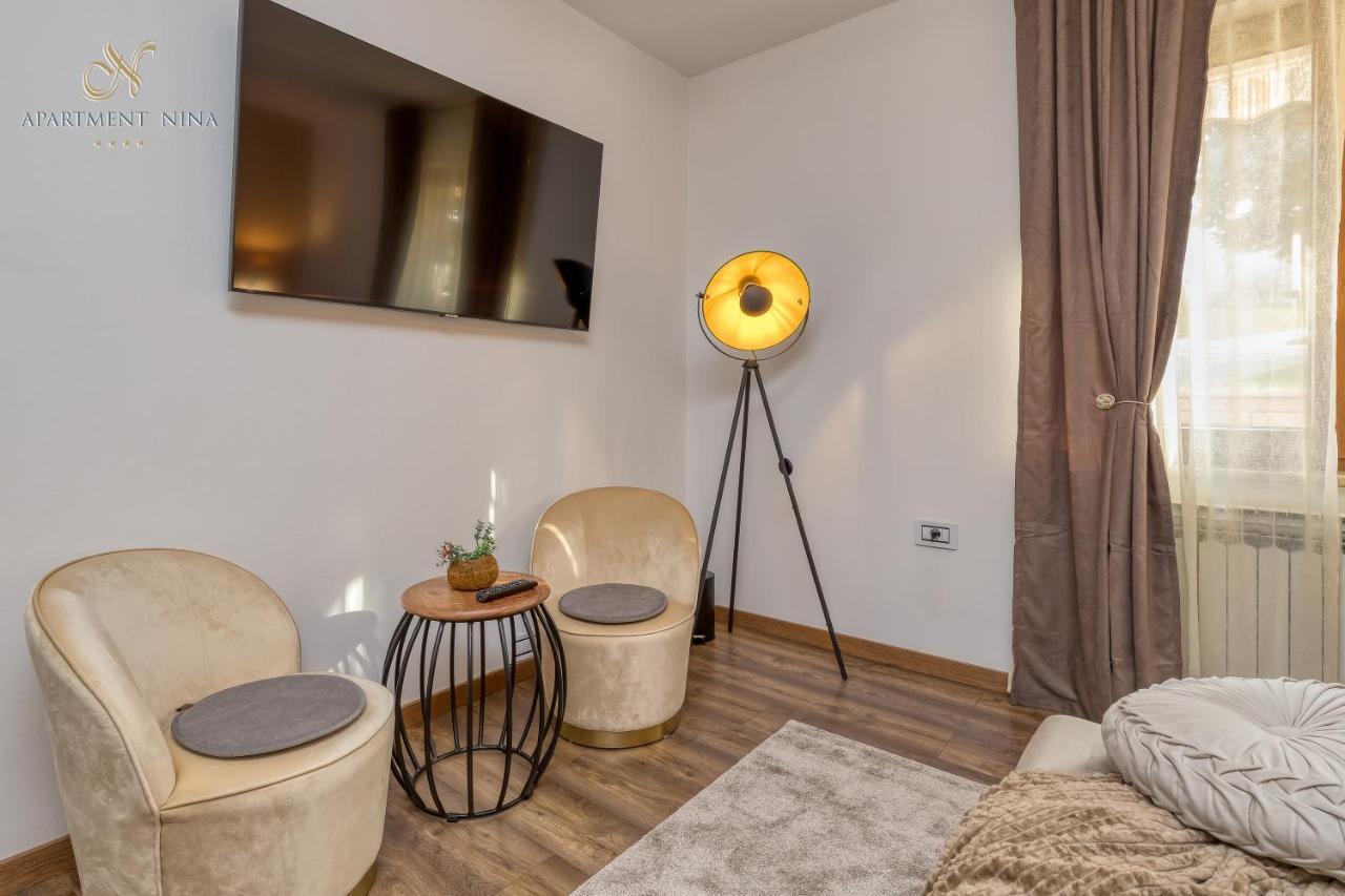 Apartment Nina Pazin Kültér fotó