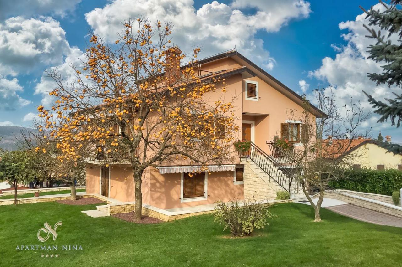 Apartment Nina Pazin Kültér fotó
